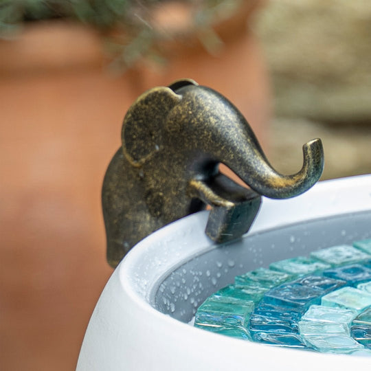 Elma The Climbing Elephant - hydria