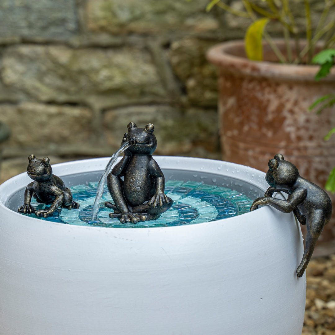 Frankie The Sipping Frog - hydria