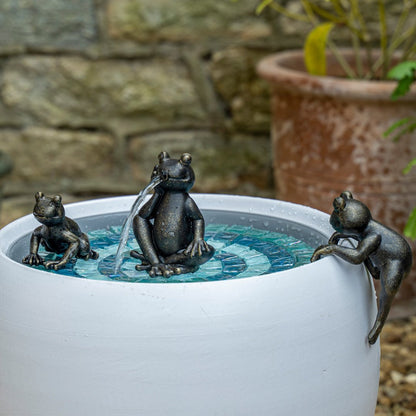 Frankie The Sipping Frog - hydria