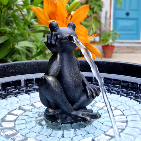 Fribett The Frog - hydria