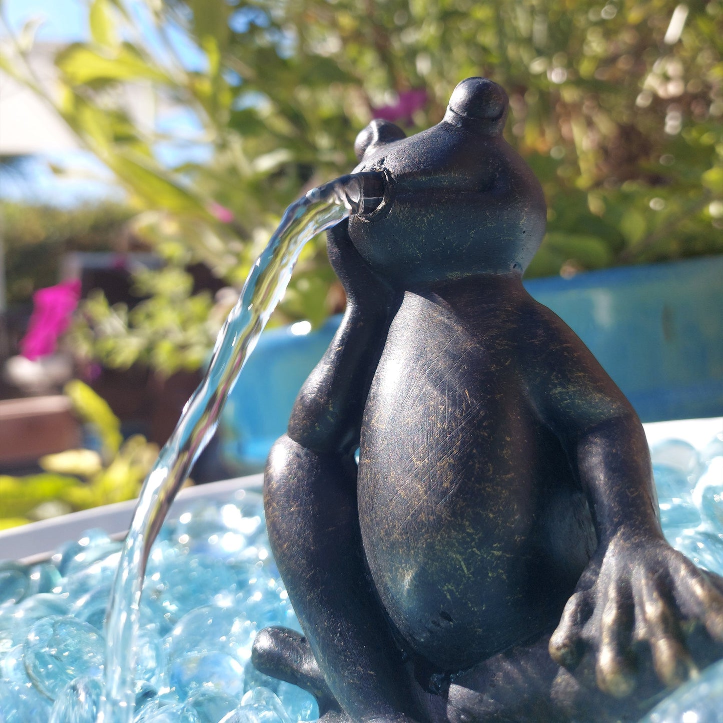 Fribett The Frog - hydria