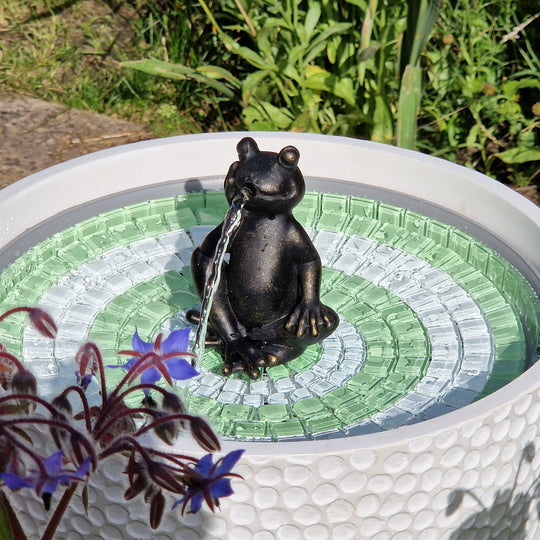 Fribett The Frog - hydria