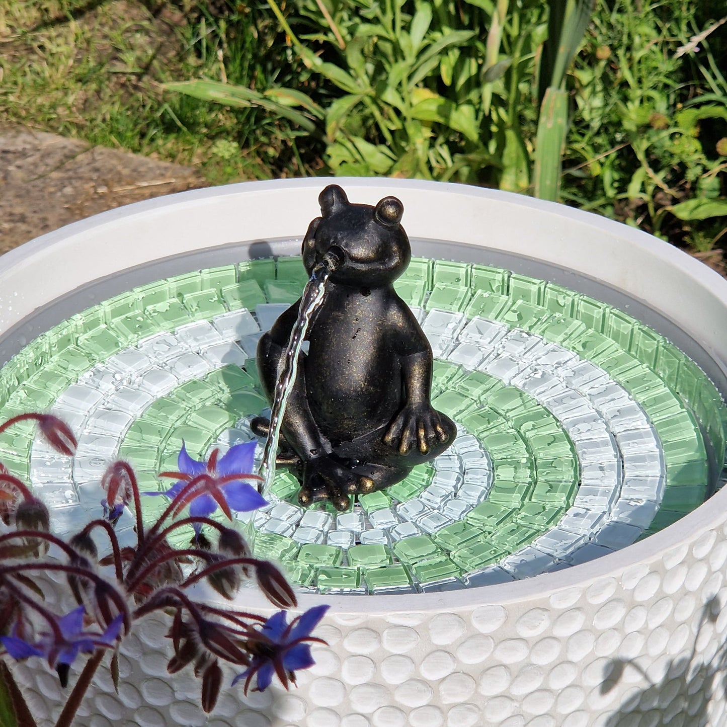 Fribett The Frog - hydria