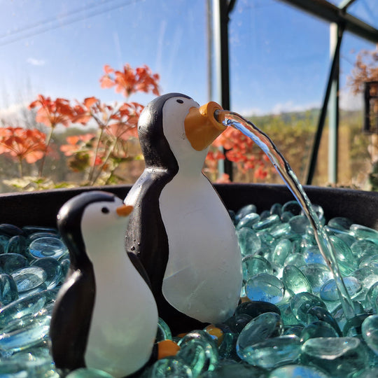 Pepper and Penny the Penguins - hydria