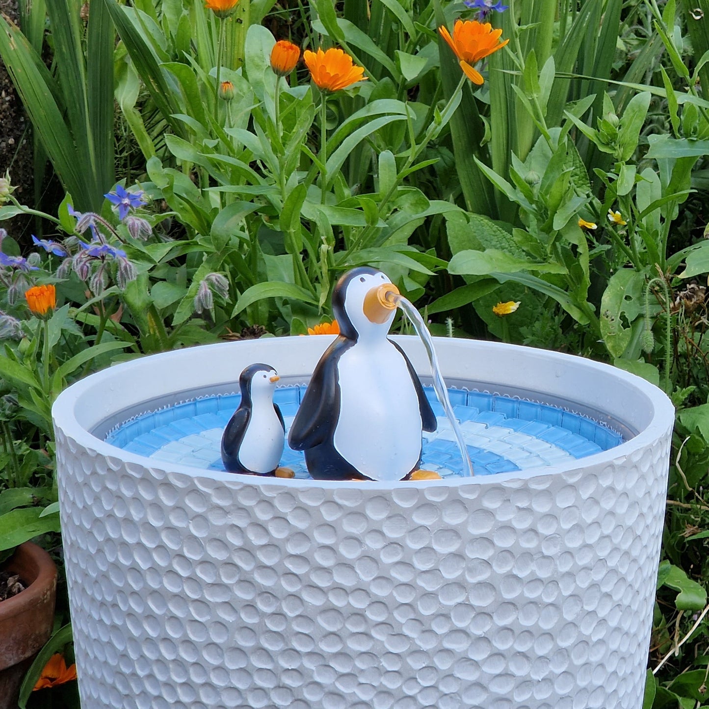 Pepper and Penny the Penguins - hydria