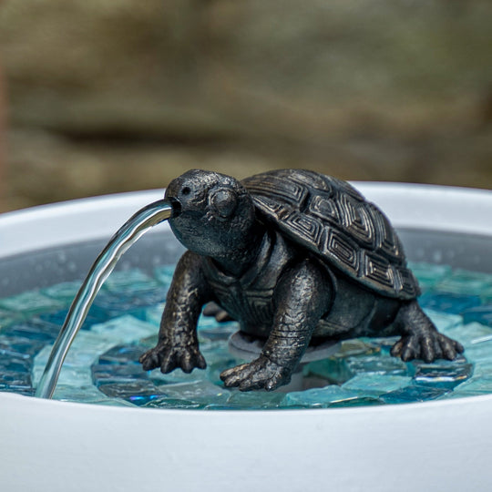 Tobi The Turtle - hydria