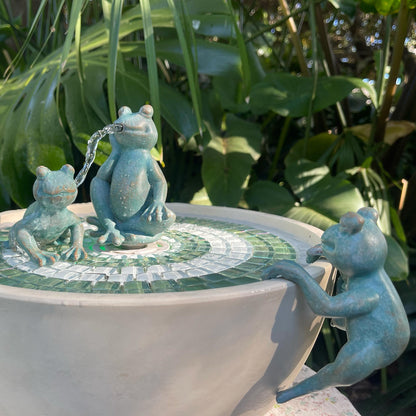 Verdigris Frog Family