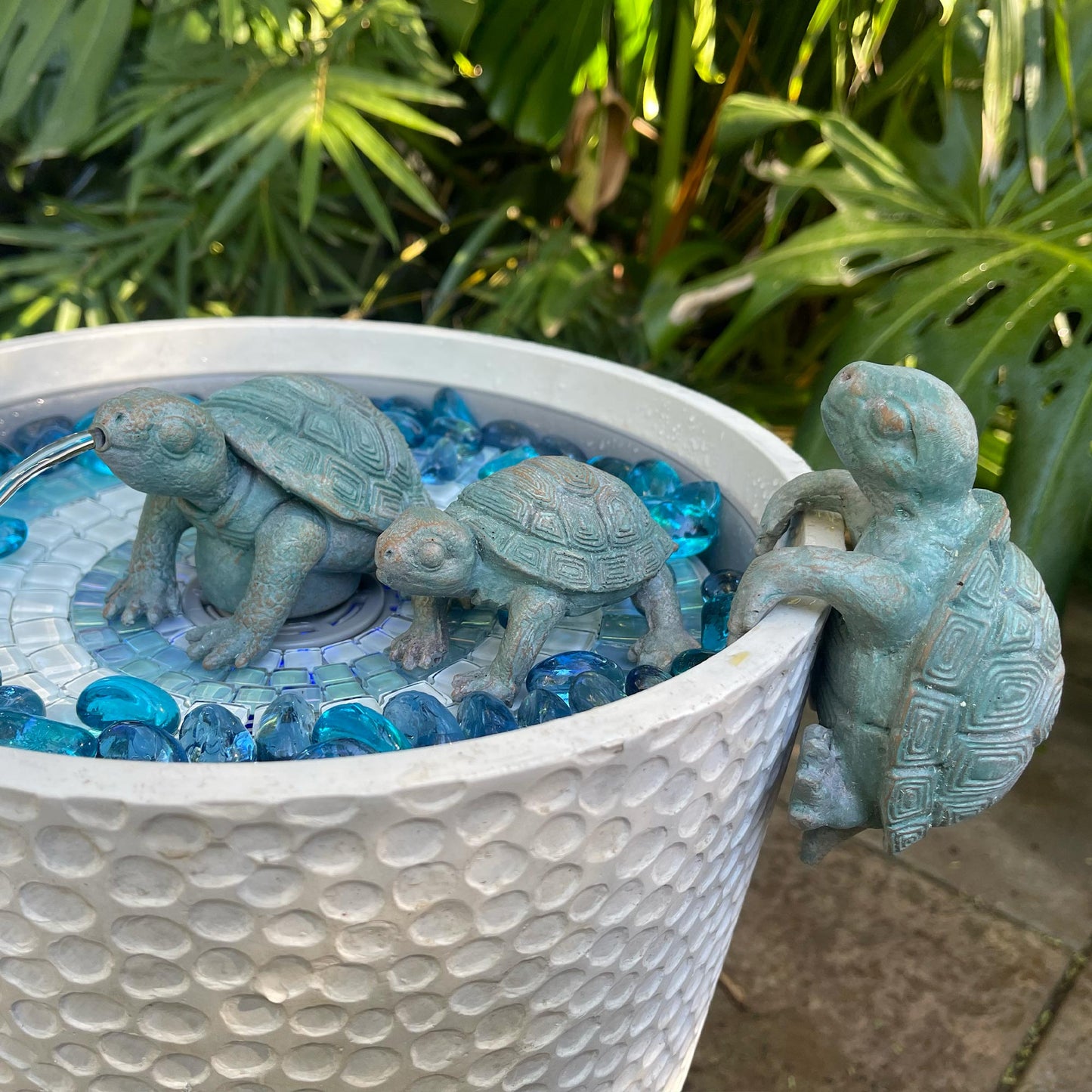 Verdigris Turtle Family