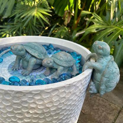 Verdigris Turtle Family