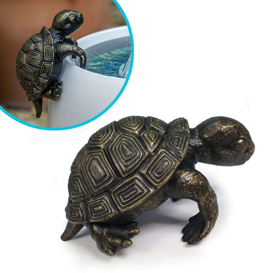 Tonie the Climbing Turtle - hydria